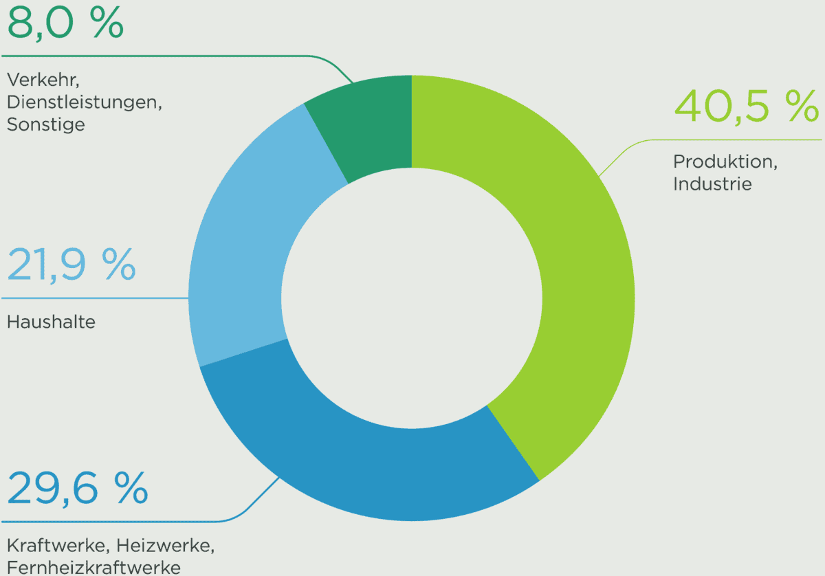 Eine Grafik, die den Gasverbrauch in Österreich beschreibt: 8,0% Verkehr; 21,9% Haushalte; 29,6% Kraftwerke; 40,5% Produktion