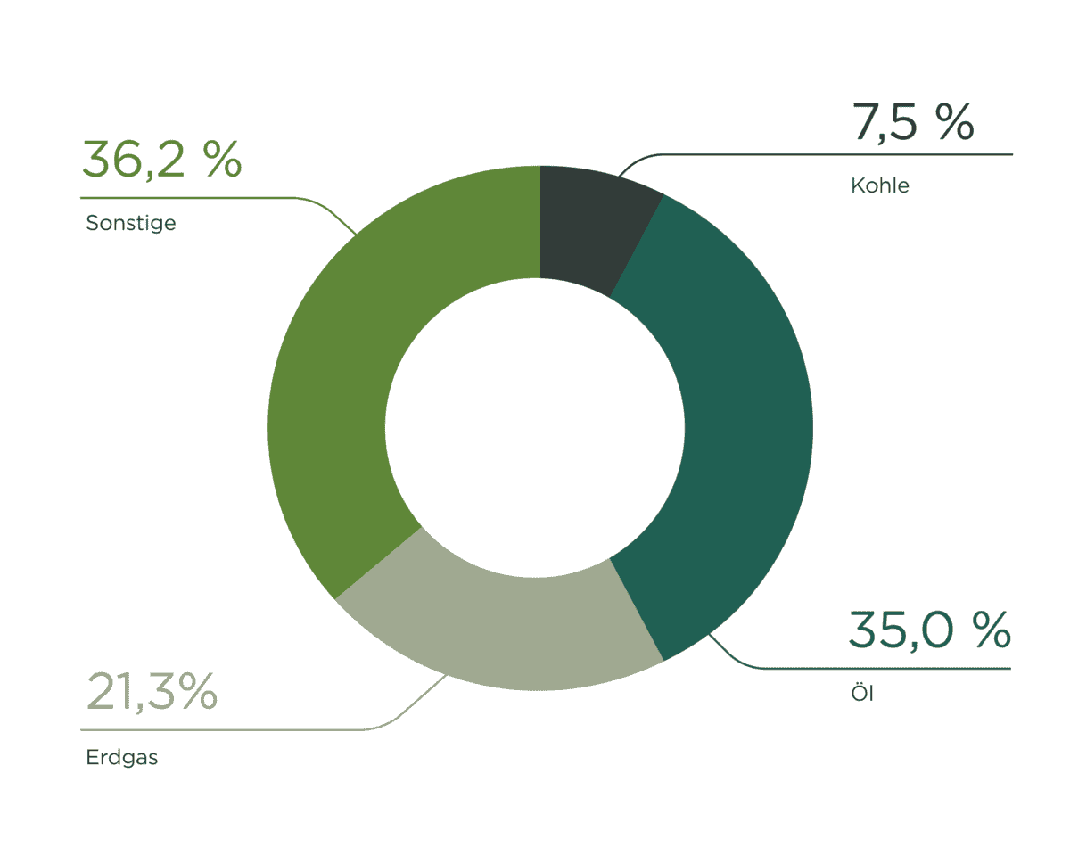 Struktur des Gesamtenergieverbrauchs in Österreich 7,5% Kohle; 35,0% Öl; 21,3% Erdgas; 36,2% Sonstige