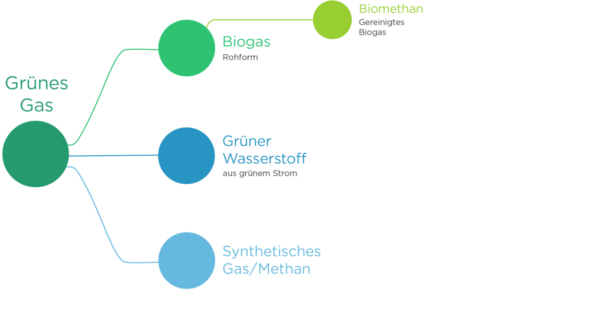 Die Struktur von Grünem Gas: Biogas (+Biomethan), Grüner Wasserstoff und Synthetisches Gas