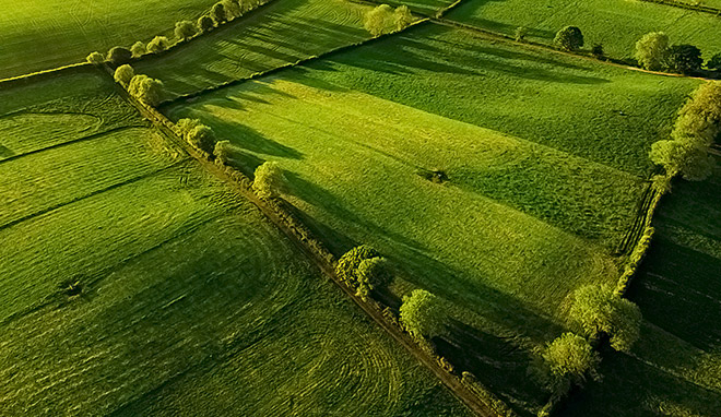 Landschaft mit grünen Feldern